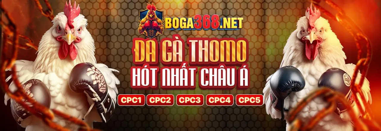 Dealer trực tiếp tại Ball8 Live Casino
