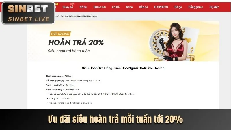 Nhấp vào nút Đăng ký trên ball8